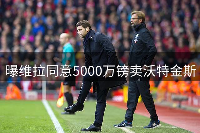 曝维拉同意5000万镑卖沃特金斯 从切尔西6500万镑引进杰克逊